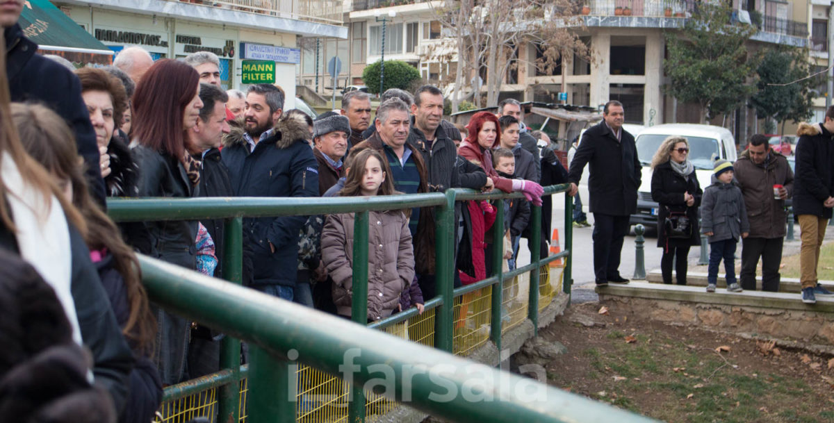 ΘΕΟΦΑΝΕΙΑ 17-4353