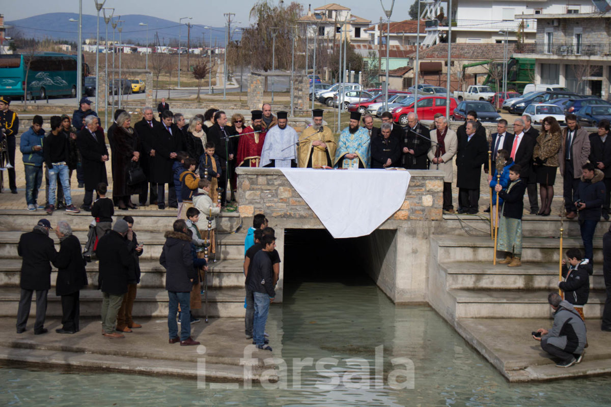 ΘΕΟΦΑΝΕΙΑ 17-4375