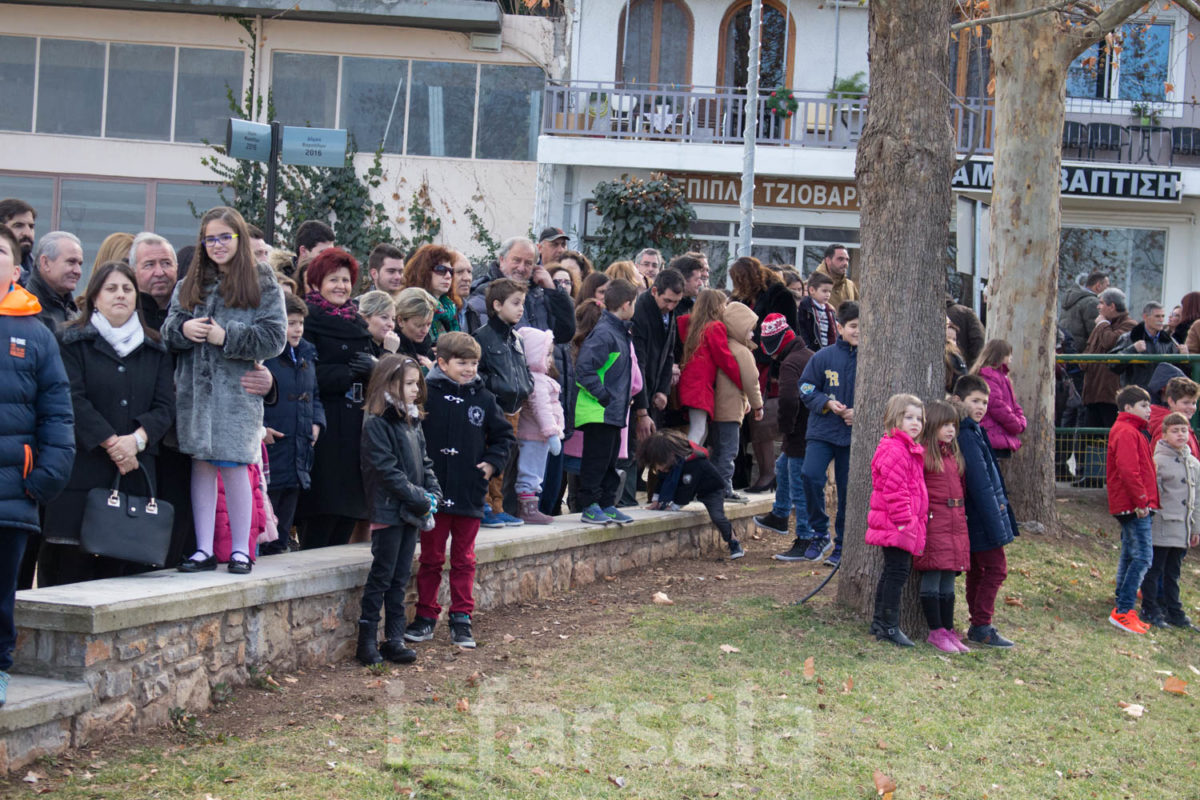 ΘΕΟΦΑΝΕΙΑ 17-4382