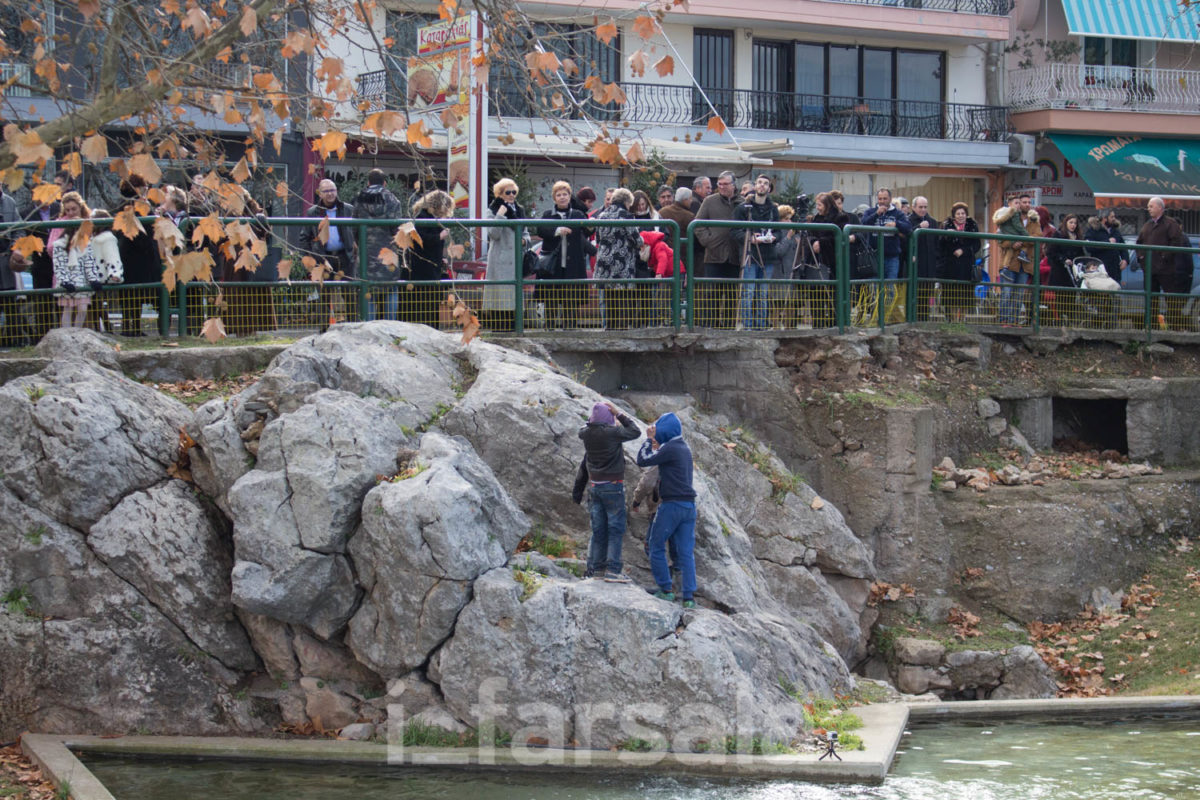 ΘΕΟΦΑΝΕΙΑ 17-4384