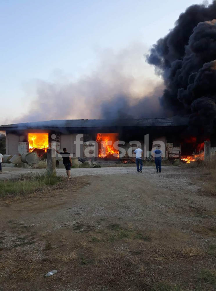 Στάχτη 20.000 δέματα άχυρο και τριφύλλι σε αποθηκευτικό χώρο στη Σκοπιά Φαρσάλων - ΦΩΤΟ - BINTEO