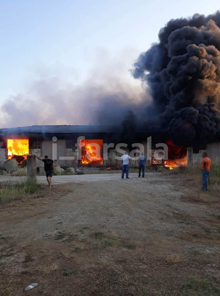 Στάχτη 20.000 δέματα άχυρο και τριφύλλι σε αποθηκευτικό χώρο στη Σκοπιά Φαρσάλων - ΦΩΤΟ - BINTEO