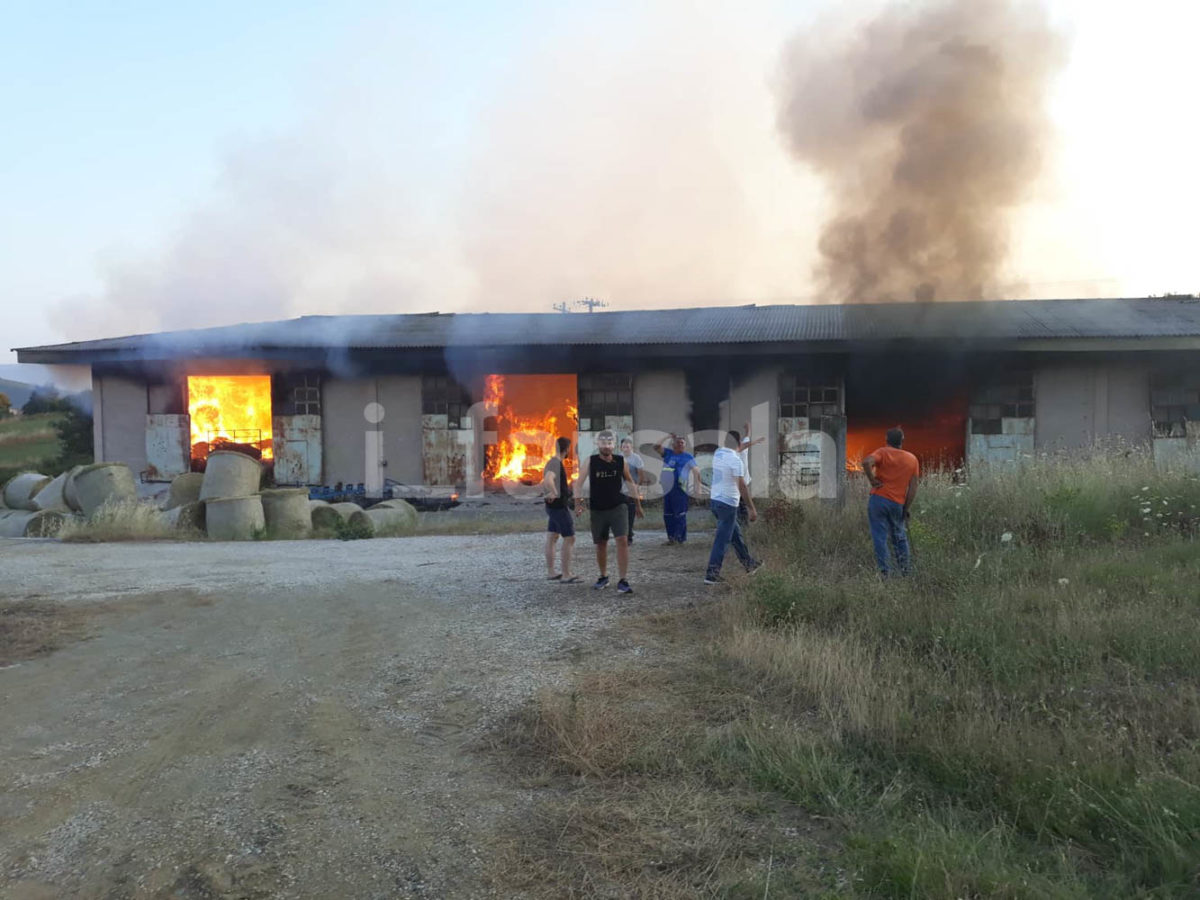 Στάχτη 20.000 δέματα άχυρο και τριφύλλι σε αποθηκευτικό χώρο στη Σκοπιά Φαρσάλων - ΦΩΤΟ - BINTEO