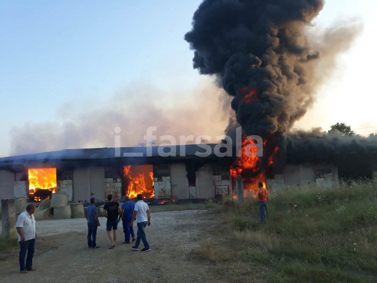 Στάχτη 20.000 δέματα άχυρο και τριφύλλι σε αποθηκευτικό χώρο στη Σκοπιά Φαρσάλων - ΦΩΤΟ - BINTEO