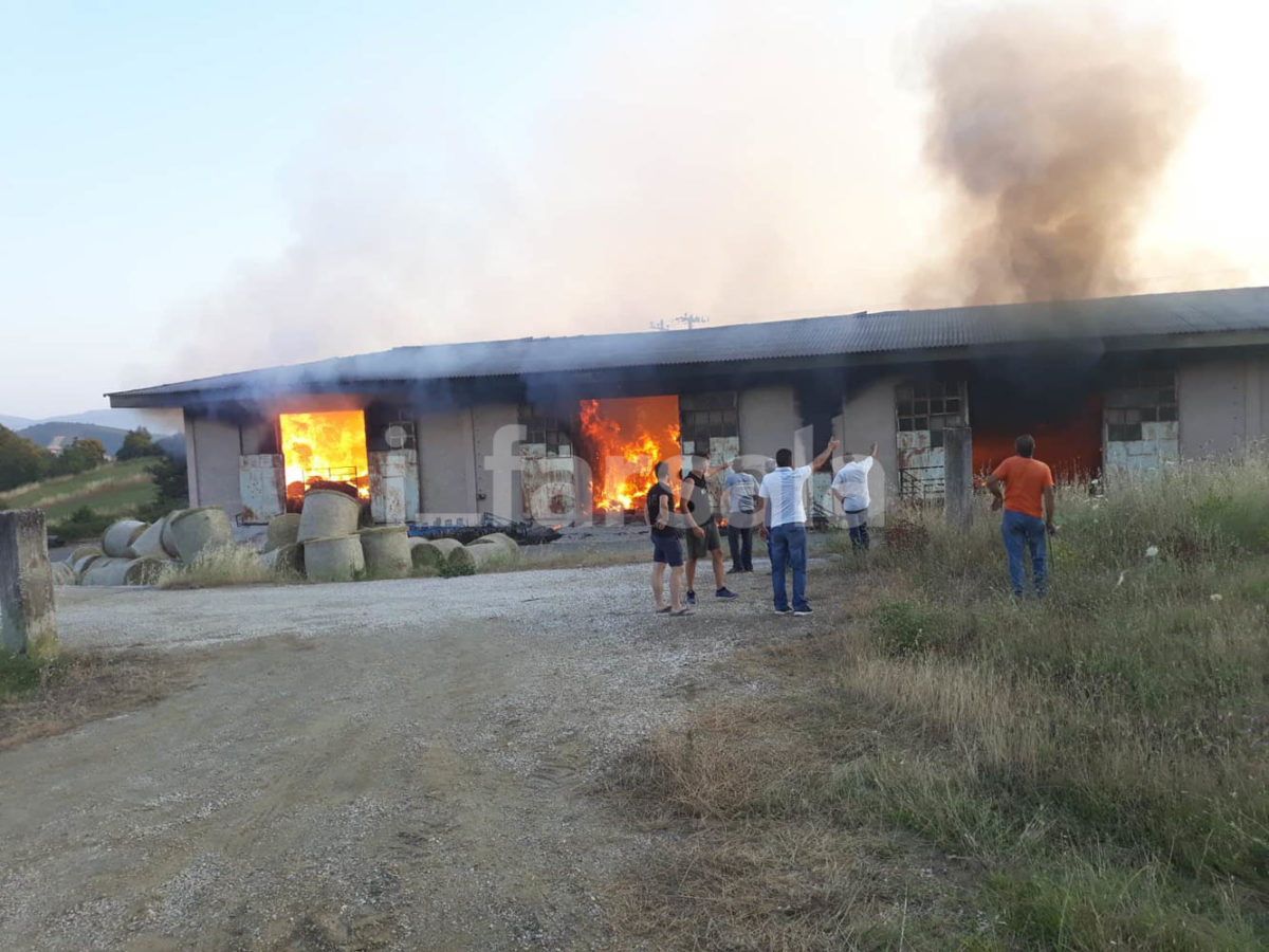 Στάχτη 20.000 δέματα άχυρο και τριφύλλι σε αποθηκευτικό χώρο στη Σκοπιά Φαρσάλων - ΦΩΤΟ - BINTEO