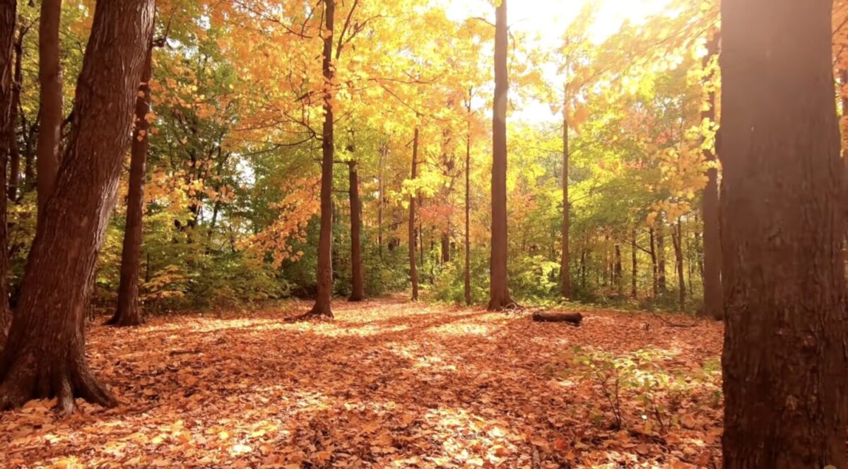 Βάλια Κάλντα: Η «ζεστή κοιλάδα» των ονείρων που ζεσταίνει την ψυχή (βίντεο)