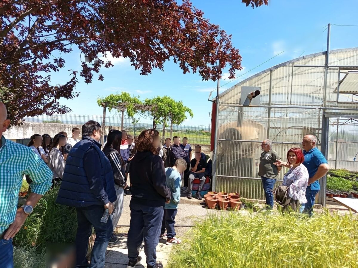 Μαθητές του 2ου Γυμνασίου Φαρσάλων κατά τη διάρκεια ξενάγησης και ενημέρωσης στο θερμοκήπιο του Τομέα Γεωπονίας του ΕΠΑΛ Φαρσάλων