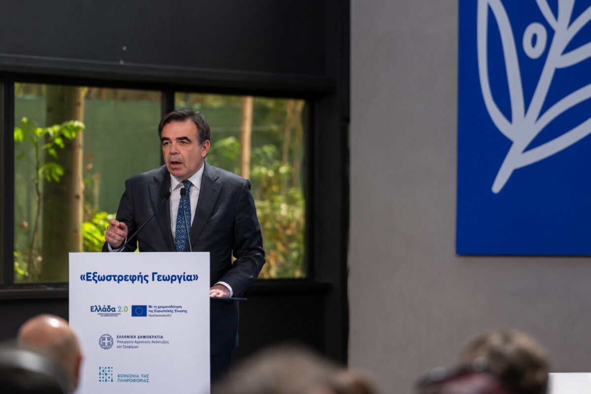 ΜΑΡΓΑΡΙΤΗΣ ΣΧΟΙΝΑΣ