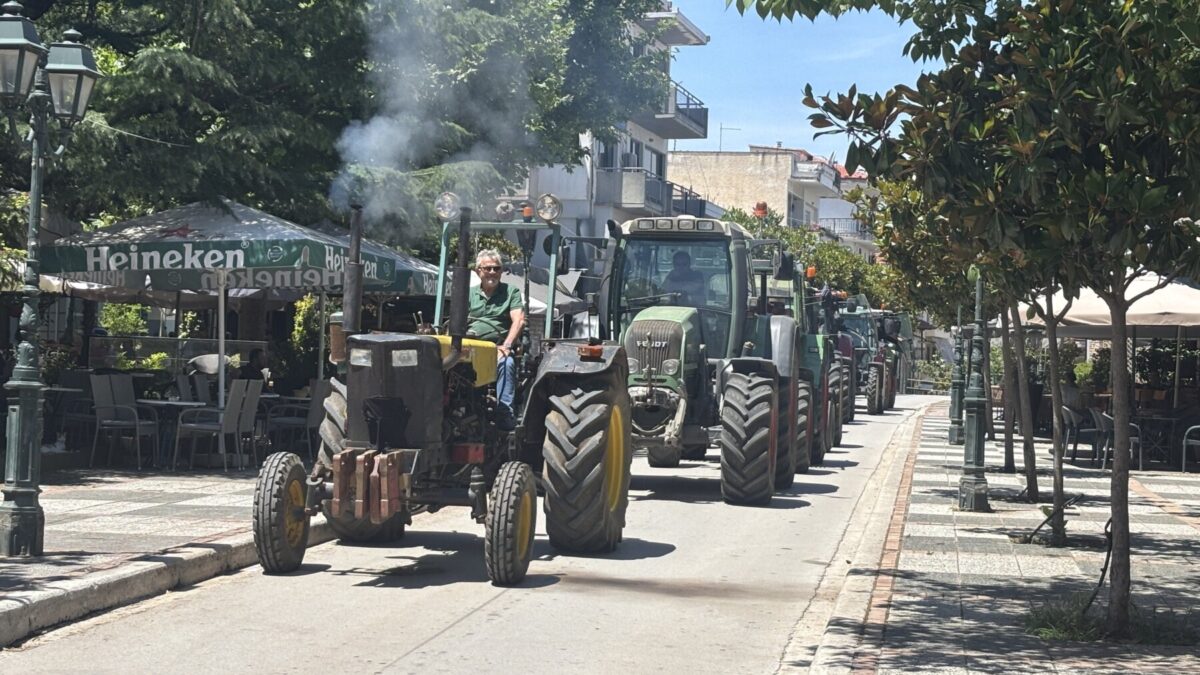 ΒΑΣΙΛΗΣ ΝΙΚΟΛΟΠΟΥΛΟΣ ΦΑΡΣΑΛΑ