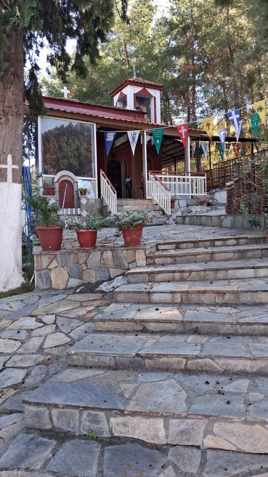 Άγιος Δημήτριος Φάρσαλα